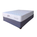 Hospitality Spring set