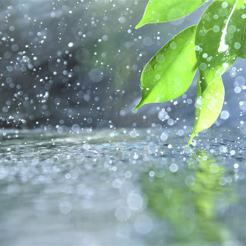 Rain sounds help you sleep